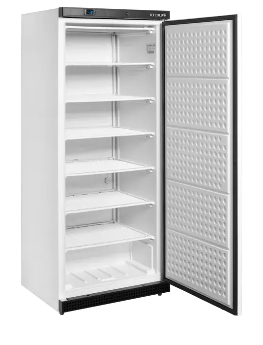 Armoire Congélateur de Stockage Inox 600L-S TEFCOLD 