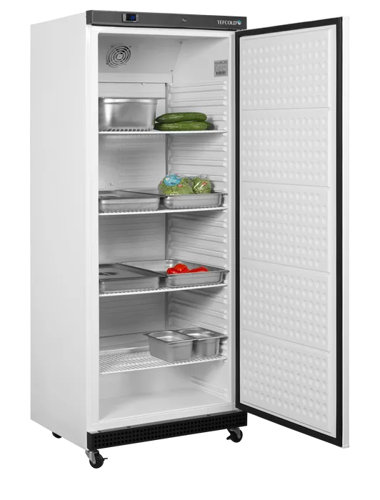 Armoire Réfrigéré de Stockage 600L Tefcold